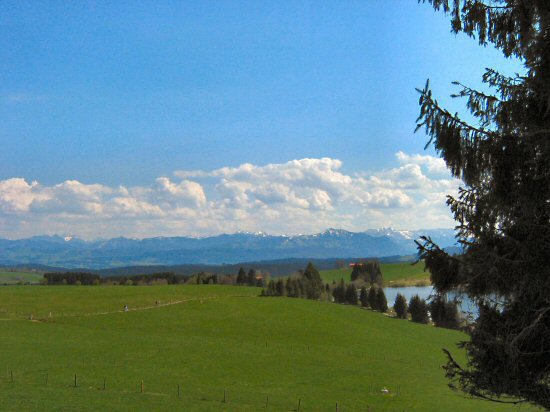 10 Eschacher Weiher mit Alpenpanorama02