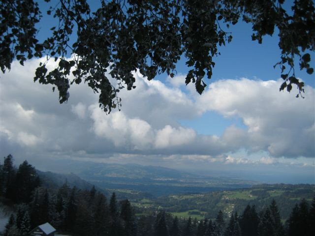 AV MIWA Bdele 014