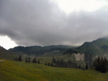 DSCF0610