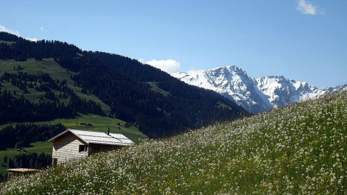 IMG_000309
