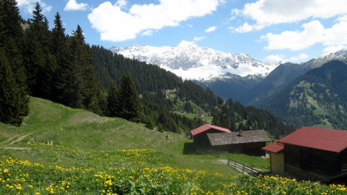IMG_002504