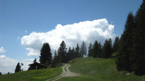 IMG_003406