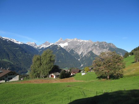IMG_1499