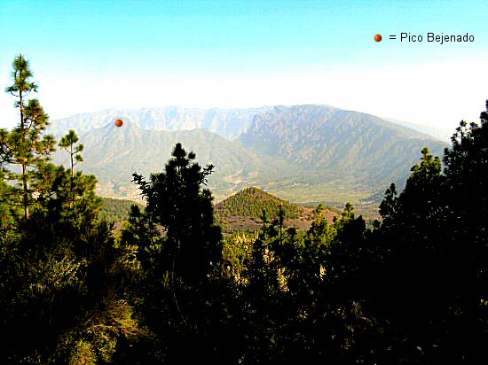 Pico Bejenado