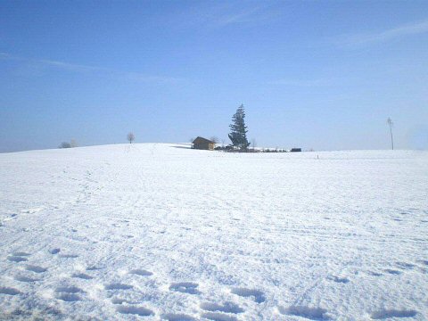 Rund um Waldburg 005