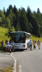 S5003116