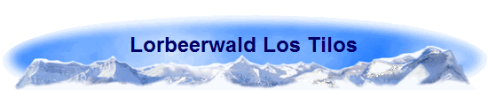 Lorbeerwald Los Tilos