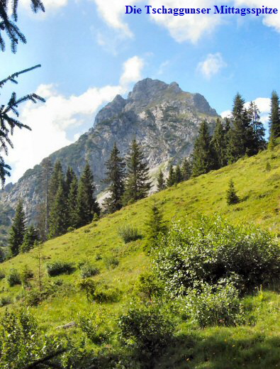 01 Tschaggunser Mittagsspitze 2168m