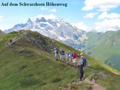 13 Schwarzhorn-Hhenweg02